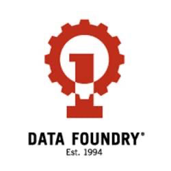 Data Foundry logo